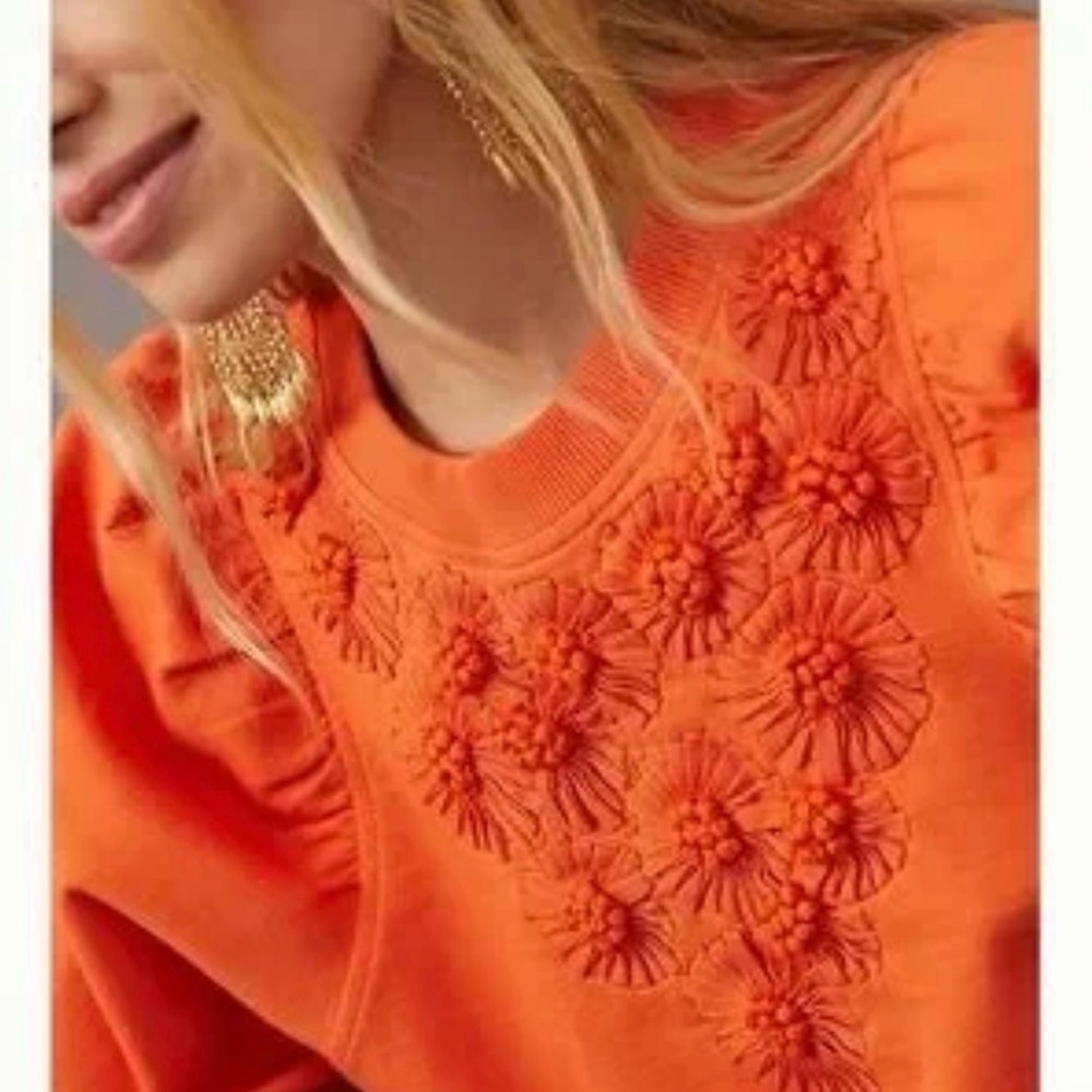 Anthropologie embroidered sweatshirt/top for women. - Picture 2 of 9